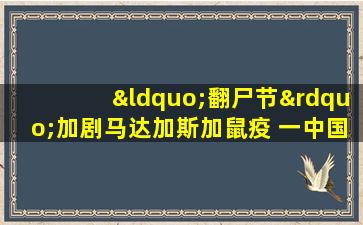 “翻尸节”加剧马达加斯加鼠疫 一中国公民战胜病魔